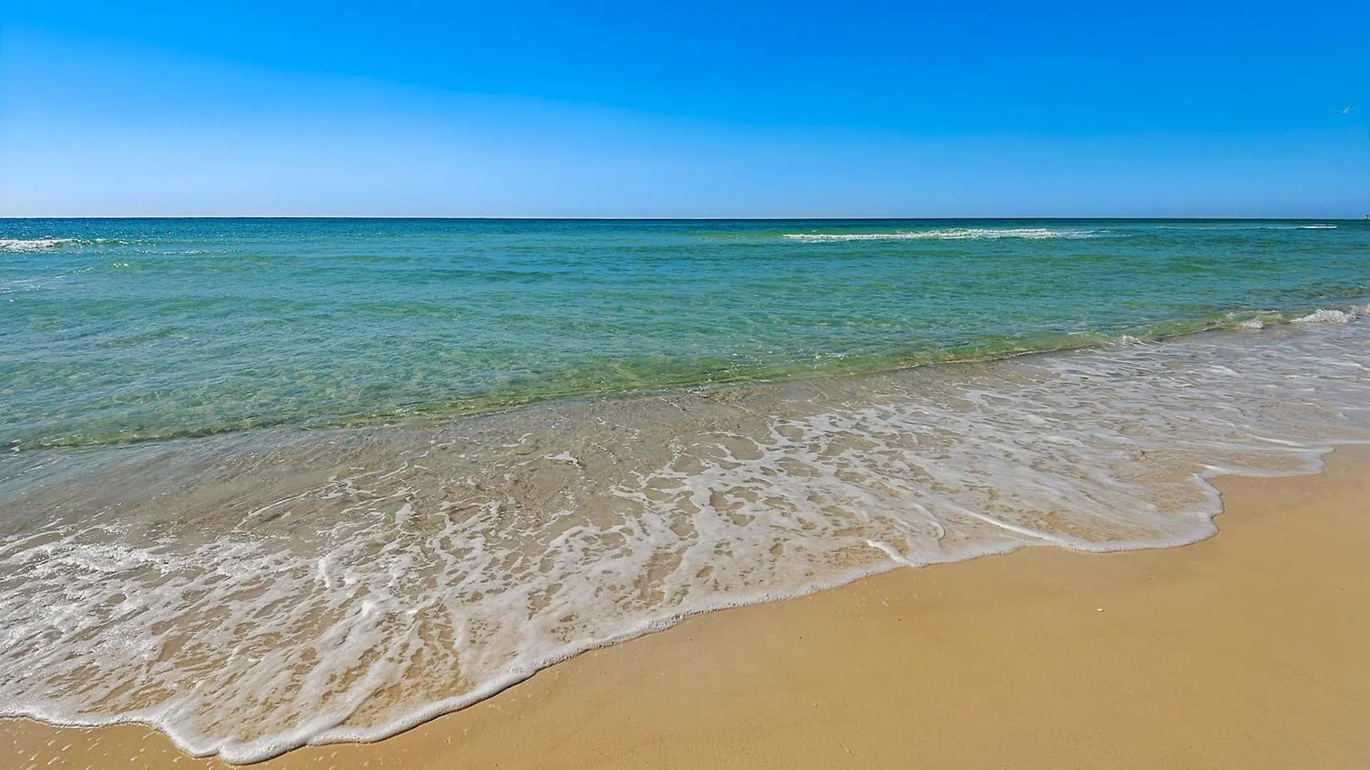 Grand Panama Tower 2 Unit 1203 Apartment Panama City Beach